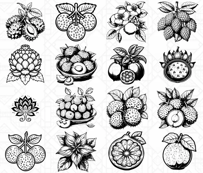 Asian Fruits SVG Bundle - Image 6