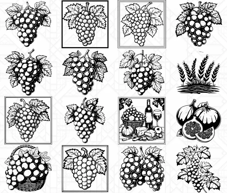 Mediterranean Fruits SVG Bundle - Image 3