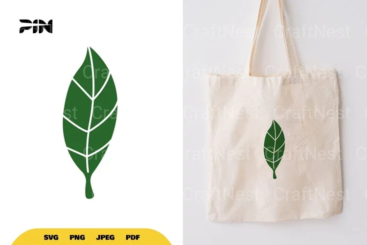 Leaf SVG Bundle