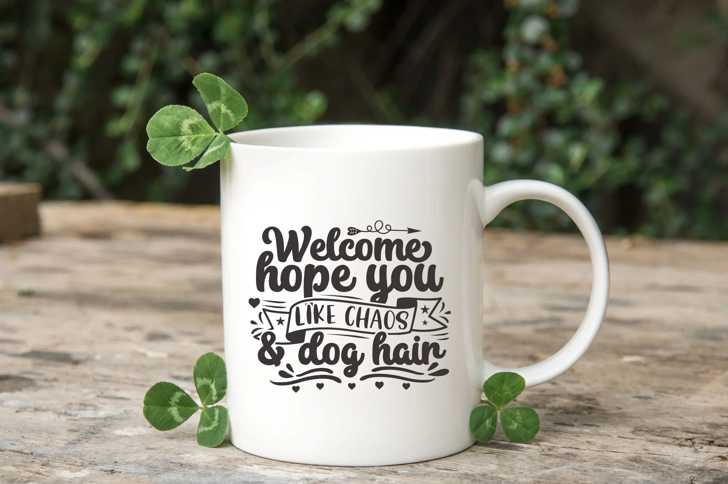 Welcome Sign Bundle - Image 11